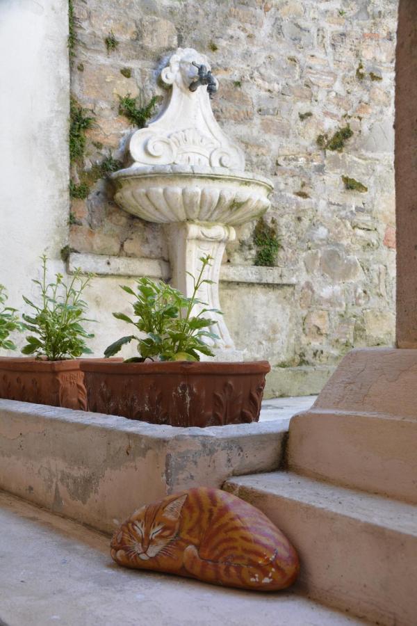 Accogliente Locale Con Terrazzo In Centro Storico Vittorio Veneto Exterior photo